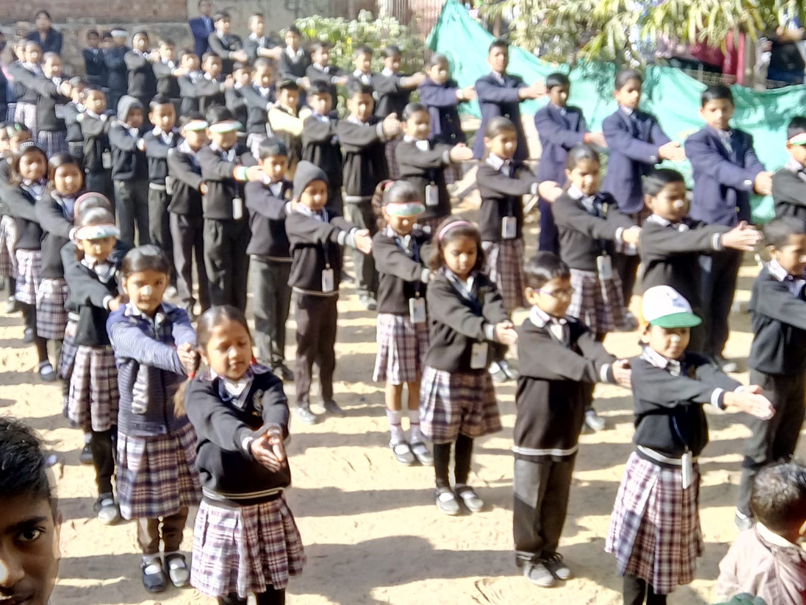 Holi Colors Celebration